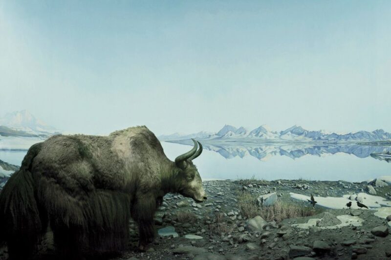 Philadelphia: Go City Explorer Pass with 3 to 7 Attractions - How the Pass Works: Activation and Usage