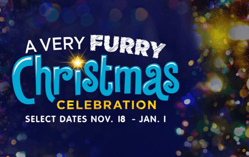 Philadelphia: Official Sesame Place Entry Ticket - Practical Information for Visitors