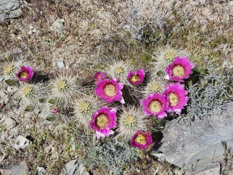 Phoenix: ATV Tour with Panoramic Views - What to Bring and Wear for the Tour