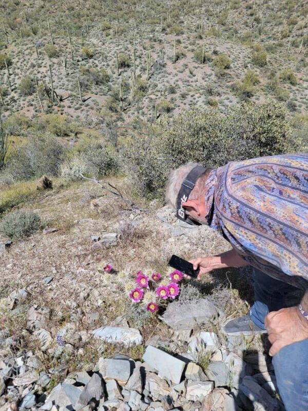 Phoenix: ATV Tour with Panoramic Views - Logistics and Meeting Point Details