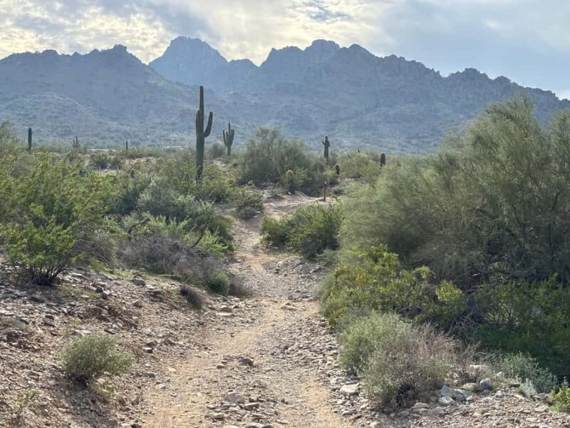 Phoenix: Guided Mountain Bike Adventure in Sonoran Desert - Meeting at Airpark Bike for a Well-Prepared Start