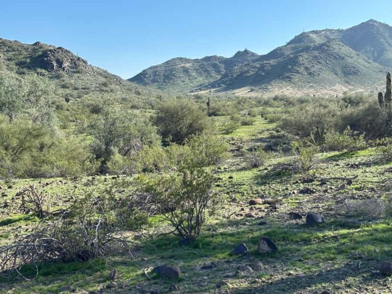 Phoenix: Guided Mountain Bike Adventure in Sonoran Desert - Scenic Stops for Photos and Rest in the Sonoran Desert