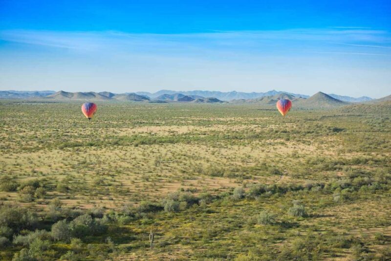 Phoenix: Hot Air Balloon Ride with Champagne and Catering - How the Phoenix Hot Air Balloon Tour Ensures Safety and Comfort