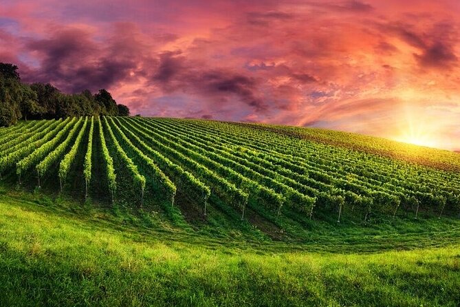 Phoenix Vortex to Vineyard Shared Tour - Comfort, Logistics, and Additional Details