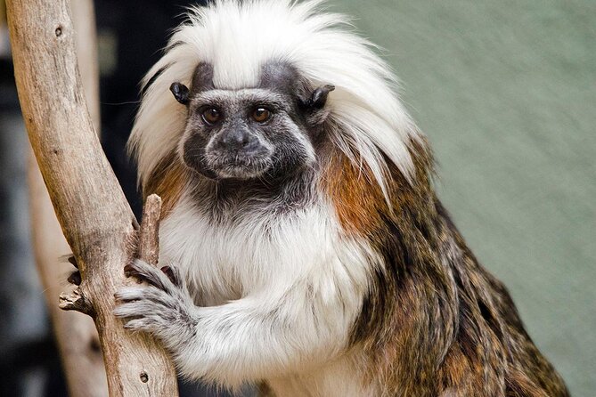 Phoenix Zoo Admission Ticket - Explore the Phoenix Zoo with Convenient Prebooked Tickets