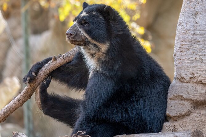 Phoenix Zoo Admission Ticket - Limitations and Considerations