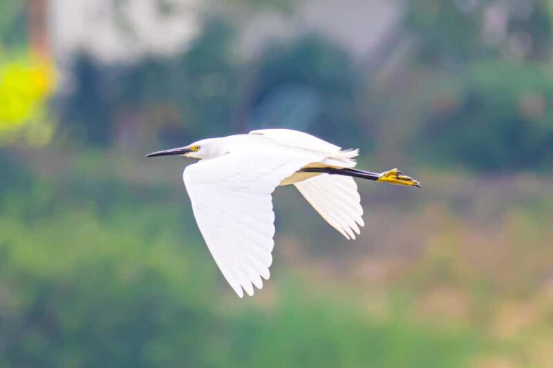 Photo excursion on the Rance River - Unique Opportunities to Capture Wildlife and Architecture