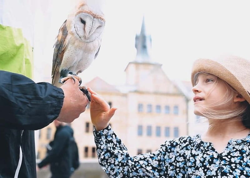 Photo Session in Prague:Shots with Iconic Landmarks - Final Thoughts on the Prague Photo Session Experience