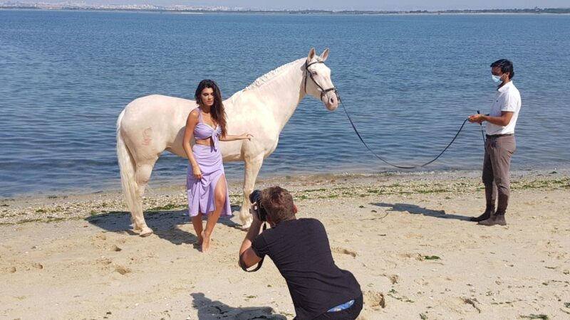 Photo Session With Horses on The Beach or in The Countryside - Meeting Point and Logistics Simplified