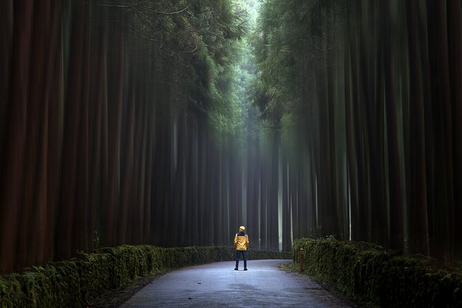 PHOTO TOUR (Full Day Private Tour- Sunrise to sunset) - Discovering Terceira’s Volcanic Trails and Landforms