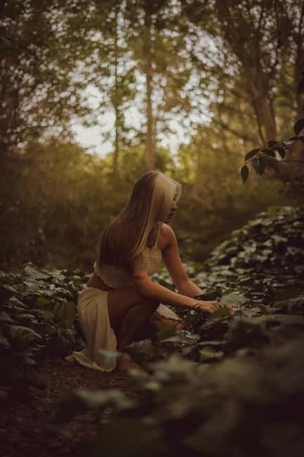 Photo Trip Around the Danube Bend with Local Guide - Explore the Danube Bend’s Most Photogenic Villages and Views