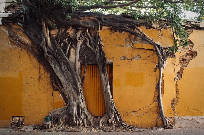 Photo Walking Tour Historic District Mazatlán - Practical Details About the Tour Logistics