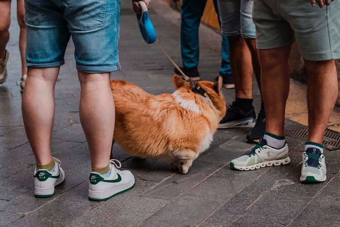 Photo Walking Tour Sagrada Familia and Gaudí in Barcelona - Capturing the Beauty of Casa Batlló Outside