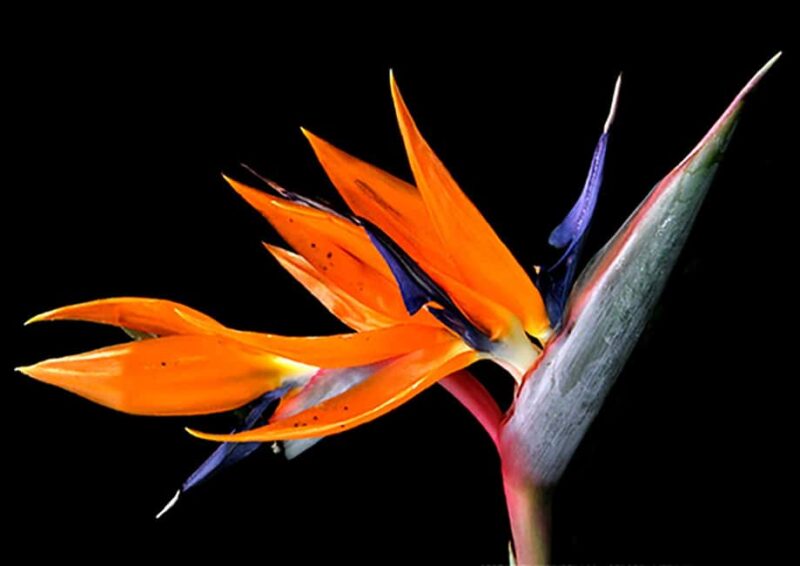 Photo workshop in Cologne, 3 hours, theory and practice - What You Can Expect During the 3-Hour Session