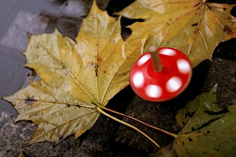 Photo workshop in Cologne, 3 hours, theory and practice - Practical Tips for Participants