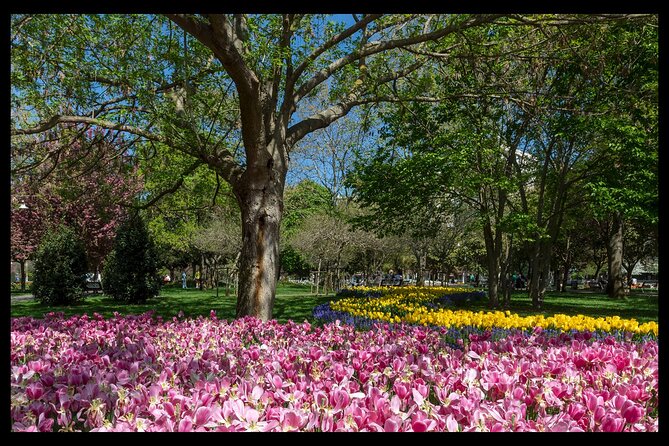 Photograph Istanbul - What Sets This Tour Apart from Others