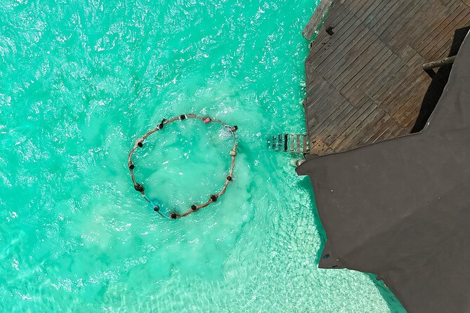 Photography and Filming with drone and camera - The Value of Professional Editing Included