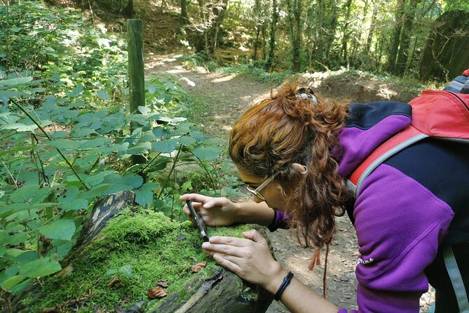 Photography route through the secret nature of Barcelona - Practical Details: Meeting Point, Group Size, and Booking