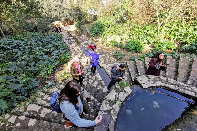 Photography route through the secret nature of Barcelona - The Stops: Scenic, Historic, and Ecosystem Highlights