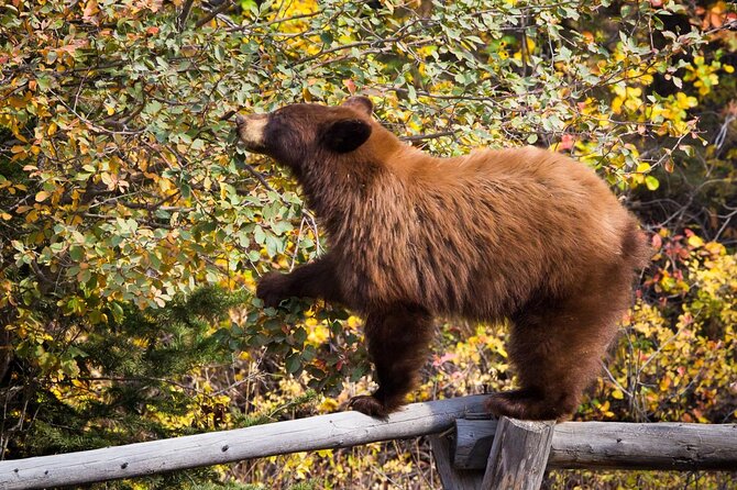 Photography Workshop in Grand Teton National Park - Learning Camera Techniques with a Professional Photographer