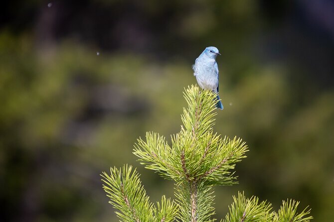Photography Workshop in Grand Teton National Park - Logistics: Easy, Comfortable, and Private