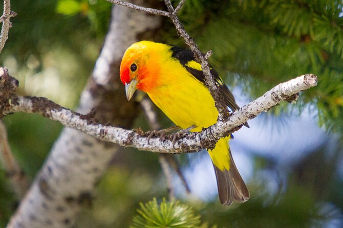 Photography Workshop in Grand Teton National Park - Cost and Value for Photography Enthusiasts