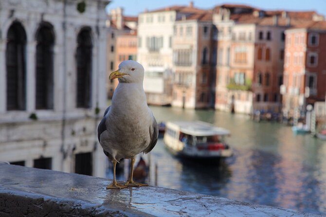 Photography workshop in the magical Venice (3h) - Equipment and Preparation: What to Bring