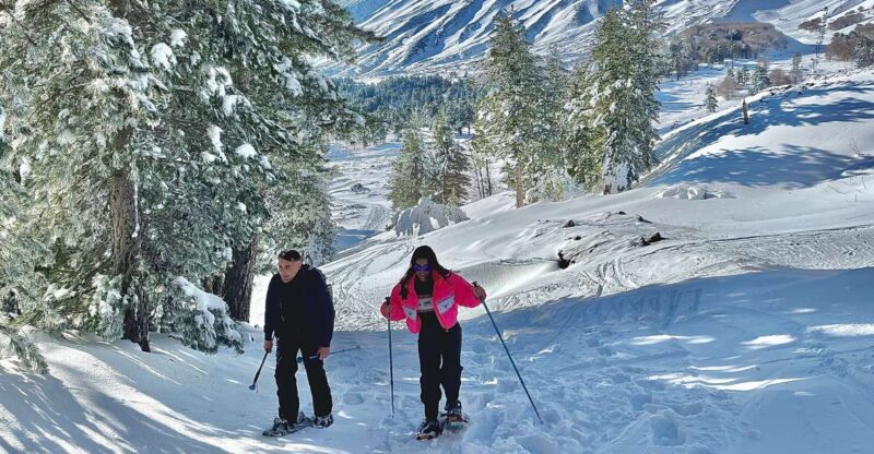 Piano Provenzana: Guided Mt. Etna Snowshoeing Trek - Exploring Mt. Etna in Winter: A Snowshoeing Adventure from Piano Provenzana