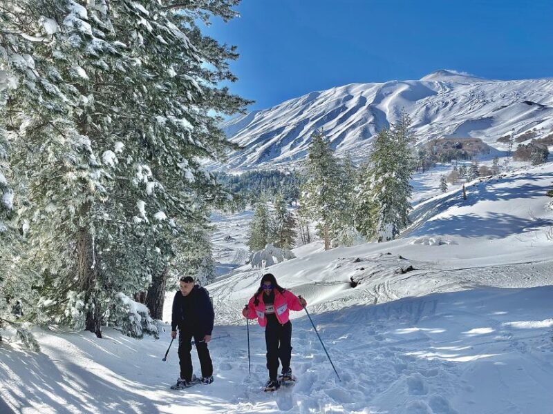 Piano Provenzana: Guided Mt. Etna Snowshoeing Trek - The Route: From Snowy Forests to Top Craters