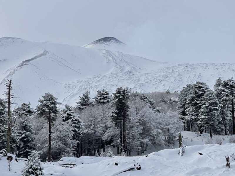 Piano Provenzana: Guided Mt. Etna Snowshoeing Trek - The Volcano’s Eruptive History and Crater Features