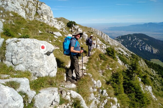 Piatra Craiului National Park Private Hiking Tour from Brasov - Logistical Details: Meeting Point and Group Size