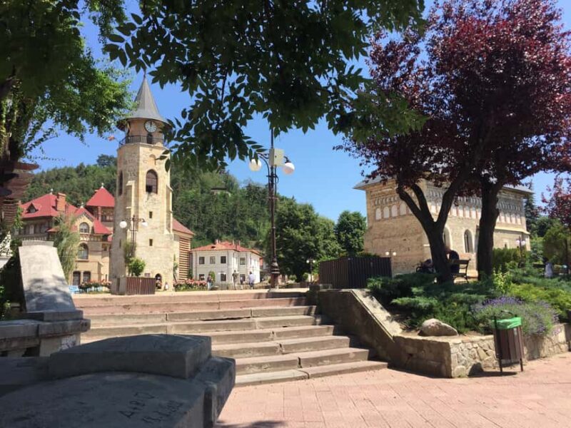 Piatra Neam: Guided tours of the Moldavian Pearl of Romania - The Experience Provider and Cancellation Policy