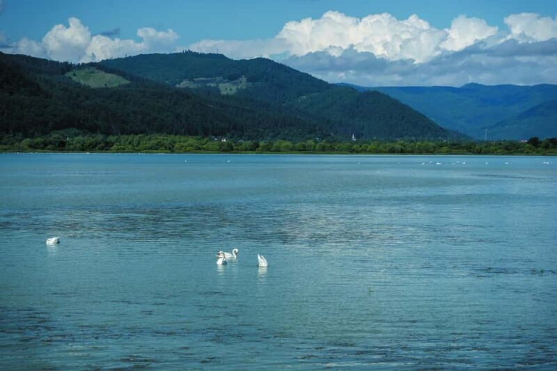 Piatra Neam: Guided tours of the Moldavian Pearl of Romania - Final Thoughts on the Piatra Neam Guided Tour