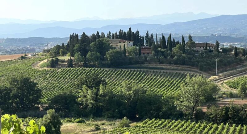 Piazzano: Wine Experience - Explore the Authentic Charm of Piazzanos Wine Experience in Tuscany