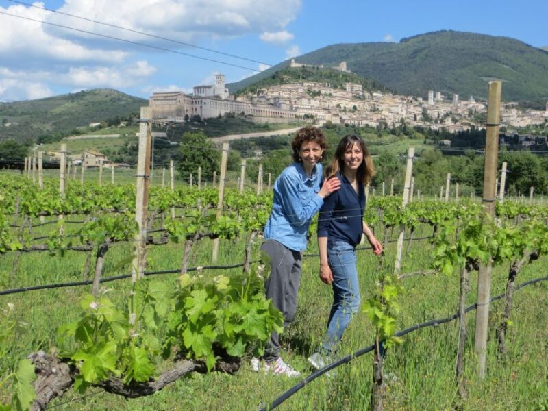 Pic nic Deluxe Assisi and wine tasting 5 wines - Discover the Charm of Assisis Vineyards with a Deluxe Picnic and Wine Tasting