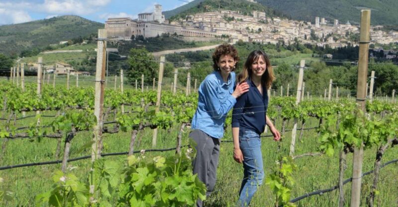 Pic nic Deluxe Assisi and wine tasting 5 wines - Key Points