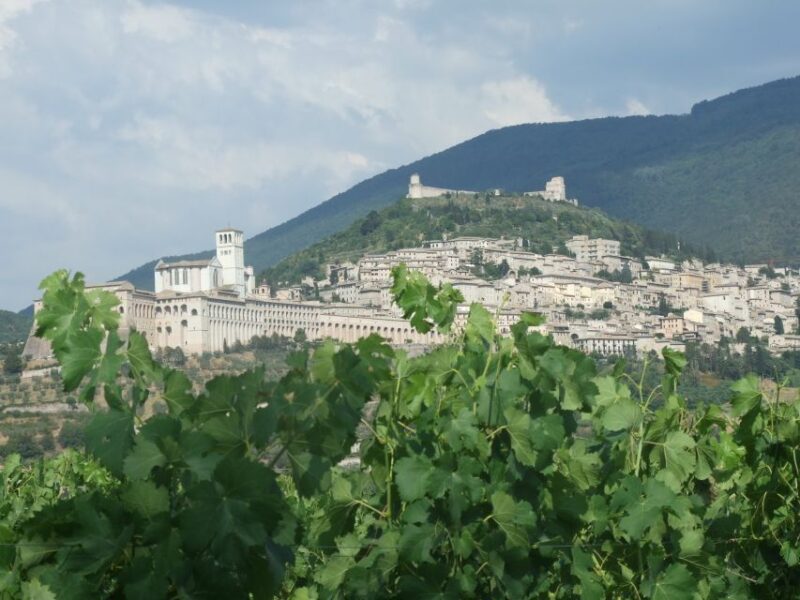 Pic nic Deluxe Assisi and wine tasting 5 wines - The Host and the Personal Touch
