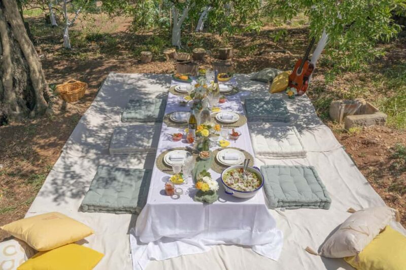 Pic nic in a country house in Palermo - A Peaceful Sicilian Escape with a Farm-to-Table Picnic