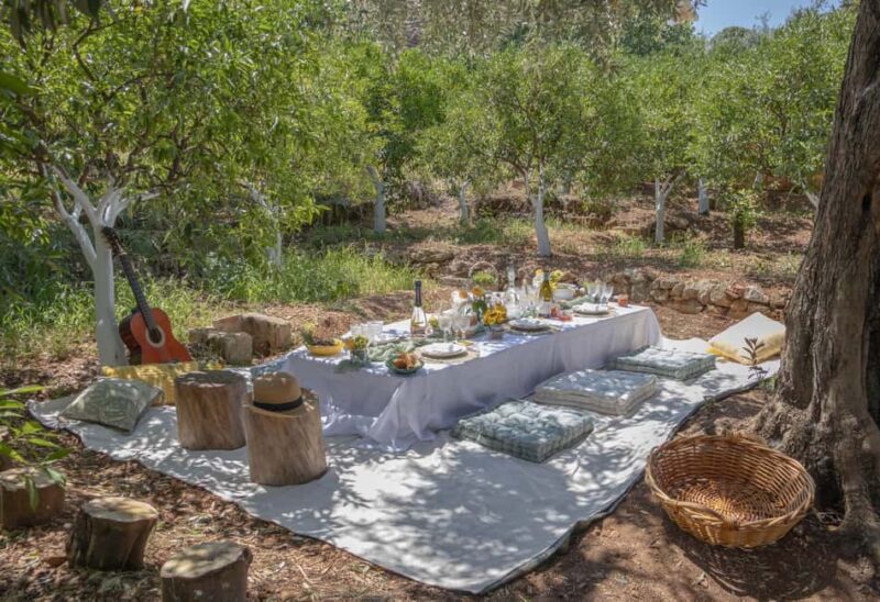 Pic nic in a country house in Palermo - The Sum Up: A Genuine Taste of Sicilian Countryside