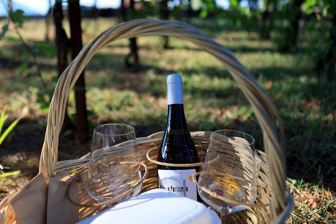 Pic-nic in the vineyard - The Wines and Tasting Experience