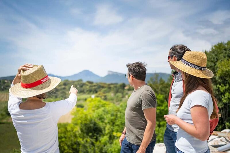 Pic Saint-Loup: Full Day Wine and Olive Tour - Return to Montpellier with Scenic Views