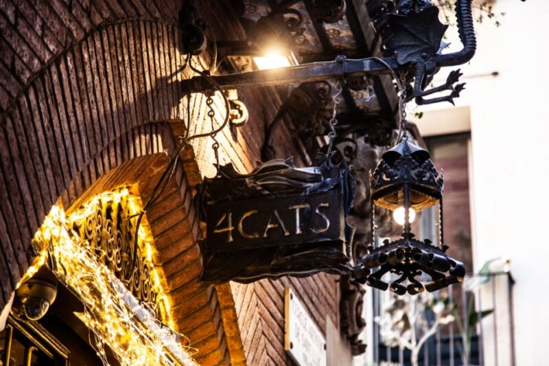 Picasso Museum, Walking Tour & Optional Wine Tasting Upgrade - Who Will Enjoy This Tour Most?