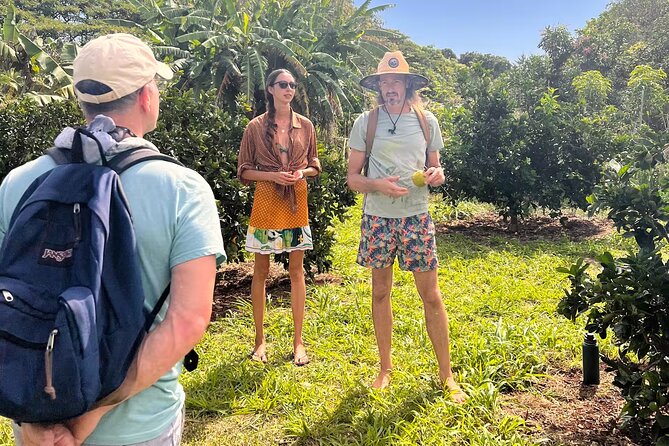 Pick and Taste Tropical Fruit - Starting Point at Moloaa Fruit Stand on Kauai