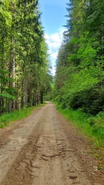 Pick-up from Cluj: e-Mountain Bike Tour Lake Dragan - Explore Romania’s Wild Shores on an e-Mountain Bike Tour from Cluj