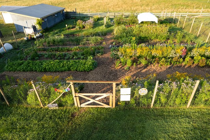 Pick Your Own Flowers on the Farm - Encountering Farm Animals During the Flower Picking Tour