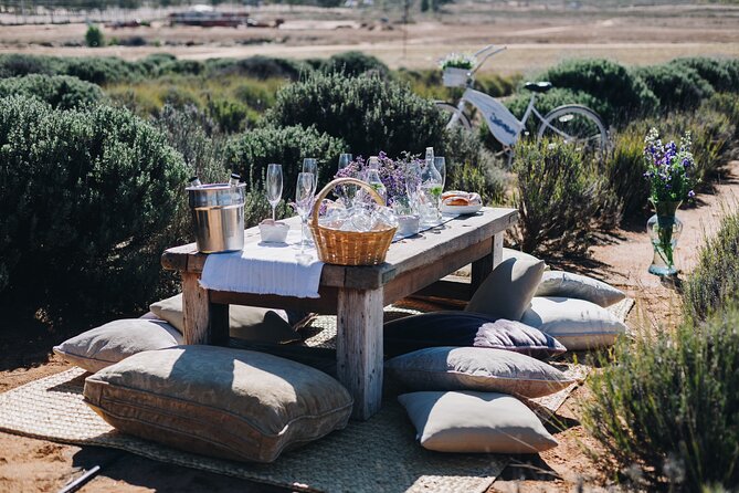 Picnic among lavender - The Picnic: Savoring Wine, Desserts, and Lavender Liqueur