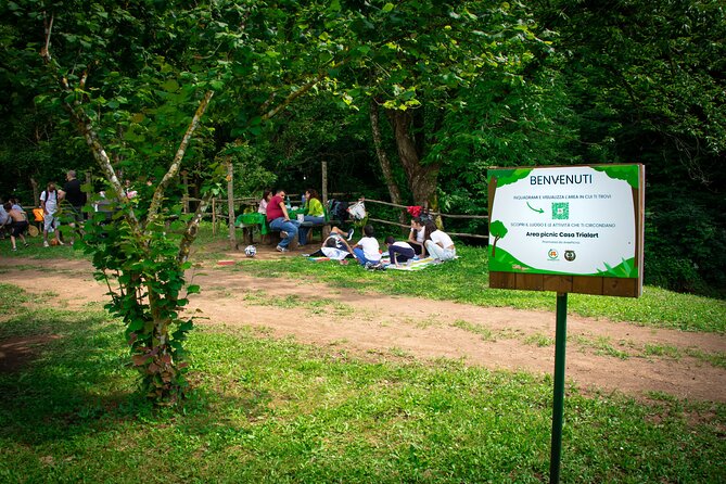 Picnic Area with Barbecue Equipment in Capranica (VT) - The Location and Surroundings of Capranica