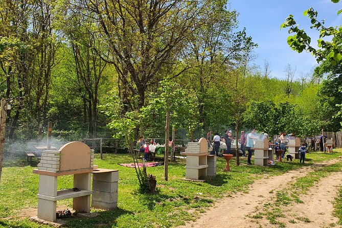 Picnic Area with Barbecue Equipment in Capranica (VT) - Why This Picnic Spot Stands Out in Lazio