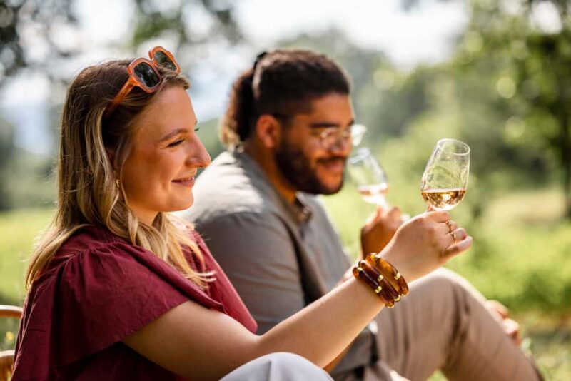 Picnic at the Château de la Selve - Wine and Grape Juice: A Toast to Ardèche
