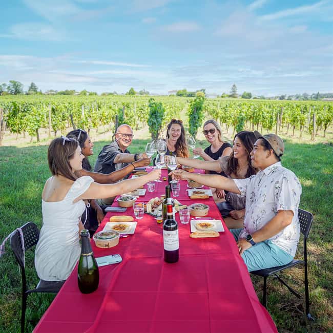 Picnic at the Château Palais Cardinal - Discover the Wines: An Engaging Tasting Session